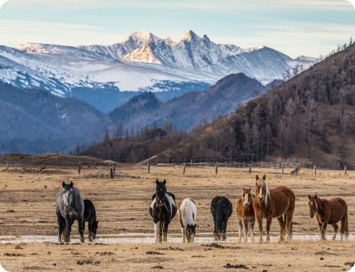 Чуйский тракт и величие гор фото 1