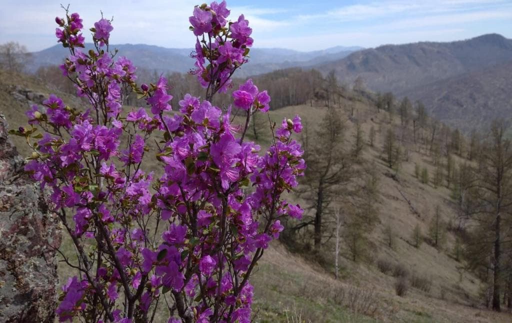 80-е. Весело и дружно - фото 1