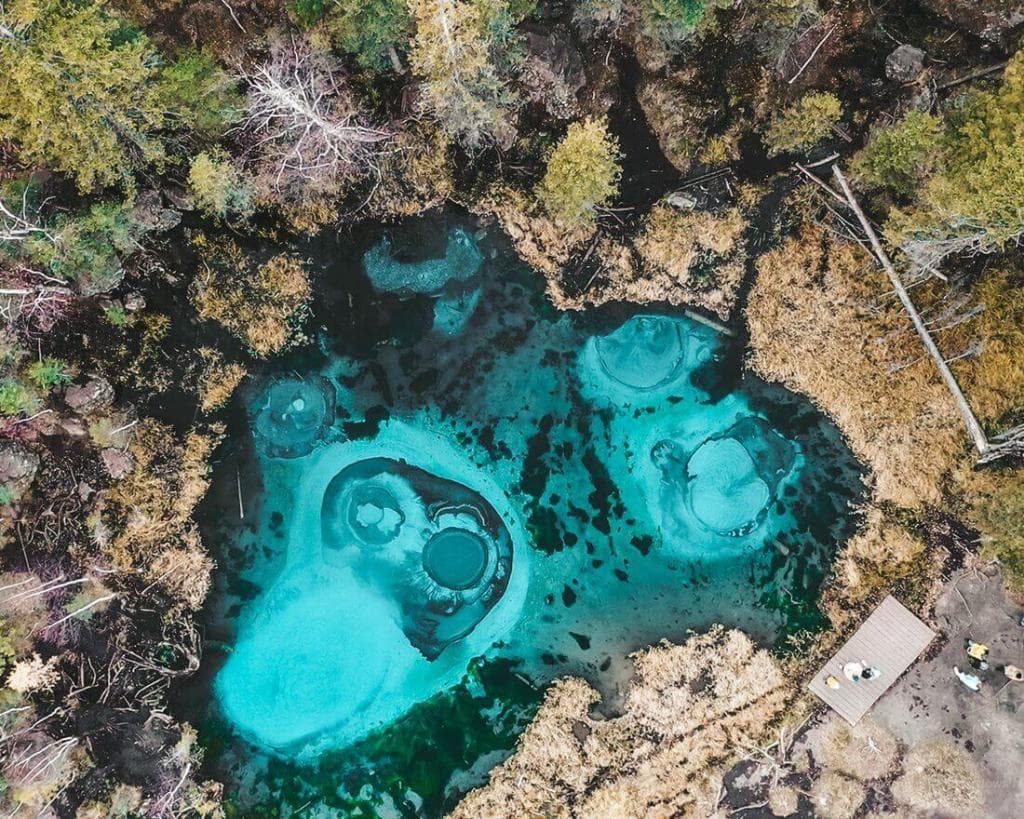 Джазатор - нетронутый мир дикой природы - фото 2