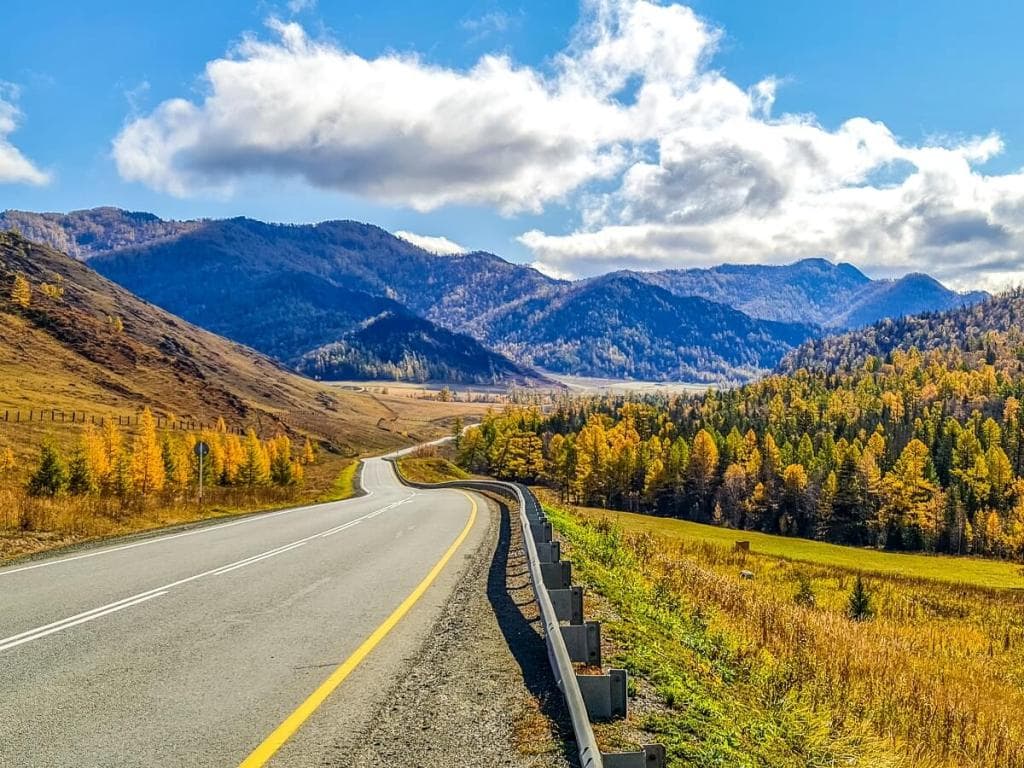 Джазатор - нетронутый мир дикой природы - фото 7