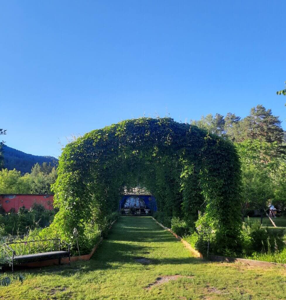 Оздоровительный тур "Пантовые ванны" - 7 дней - фото 7