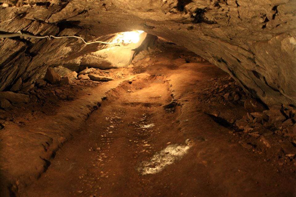 Оздоровительный тур "Пантовые ванны" - 7 дней - фото 8