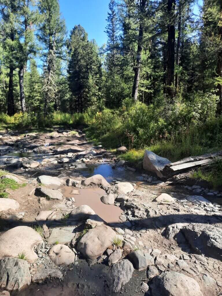 Мультинские озёра за 9 дней - пеший тур с рюкзаками - фото 5