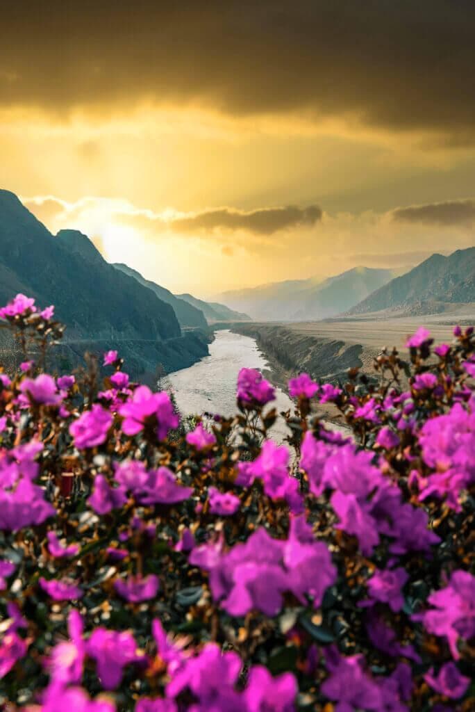 Кругосветка по Алтаю 5 дней - фото 1