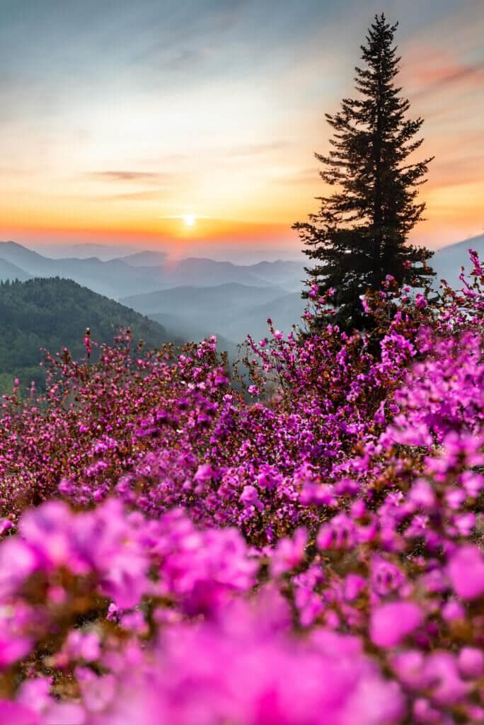 Кругосветка по Алтаю 5 дней - фото 3