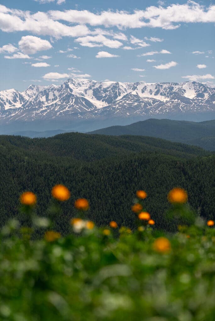 Кругосветка по Алтаю 5 дней - фото 4