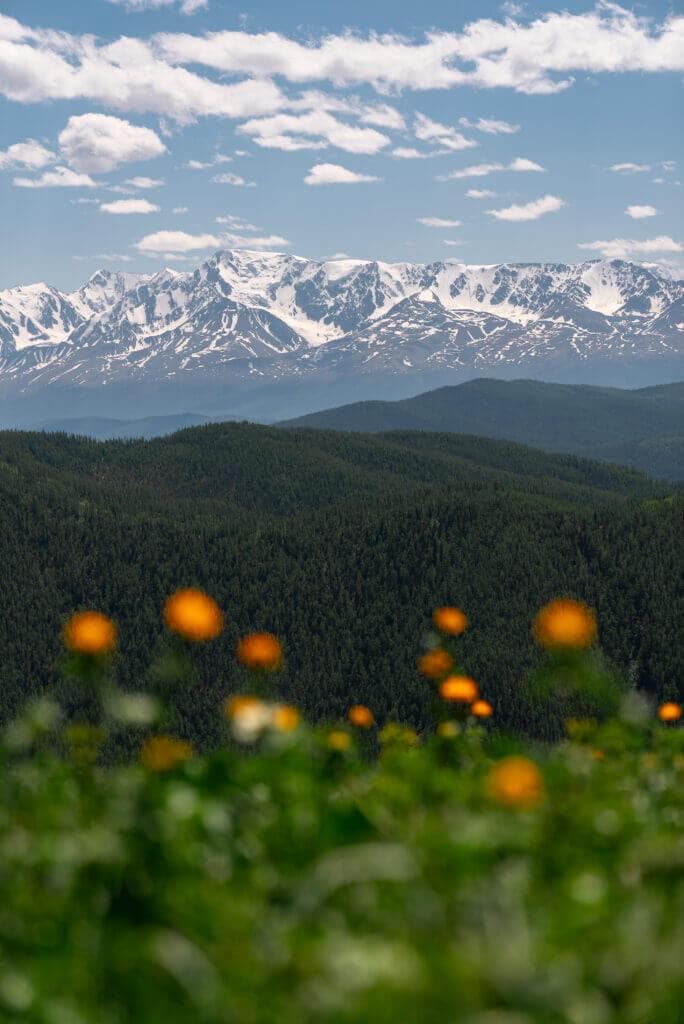 Кругосветка по Алтаю 5 дней - фото 4