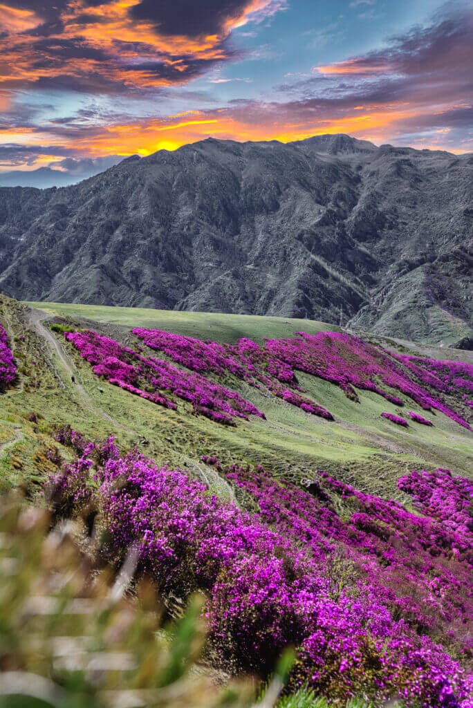 Кругосветка по Алтаю 5 дней - фото 5