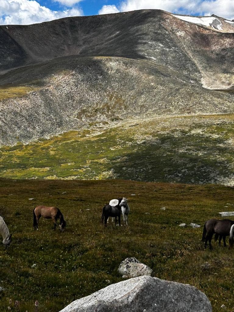 АВТО ТУР НА ПЛАТО УКОК - фото 7