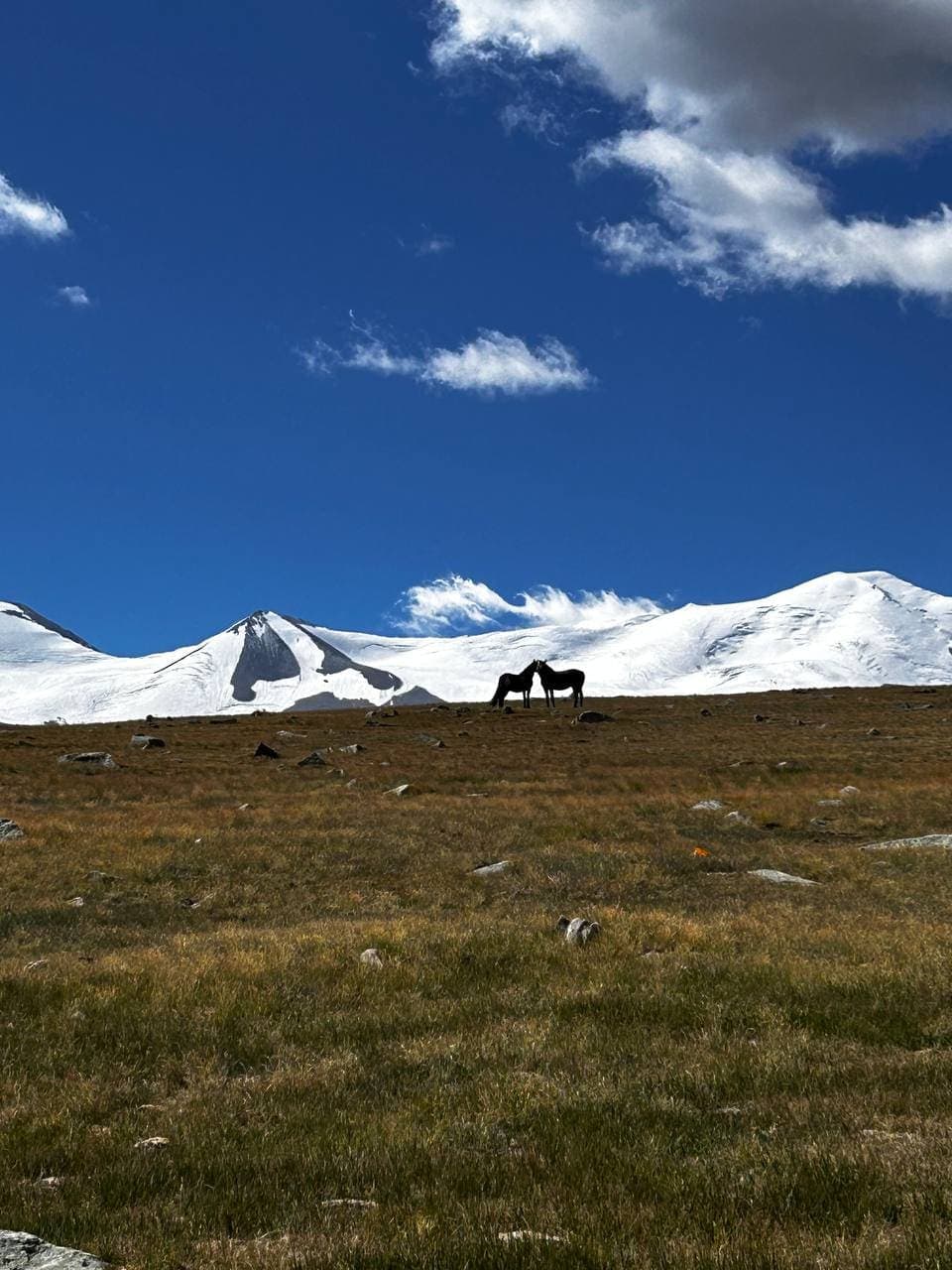 АВТО ТУР НА ПЛАТО УКОК - фото 9