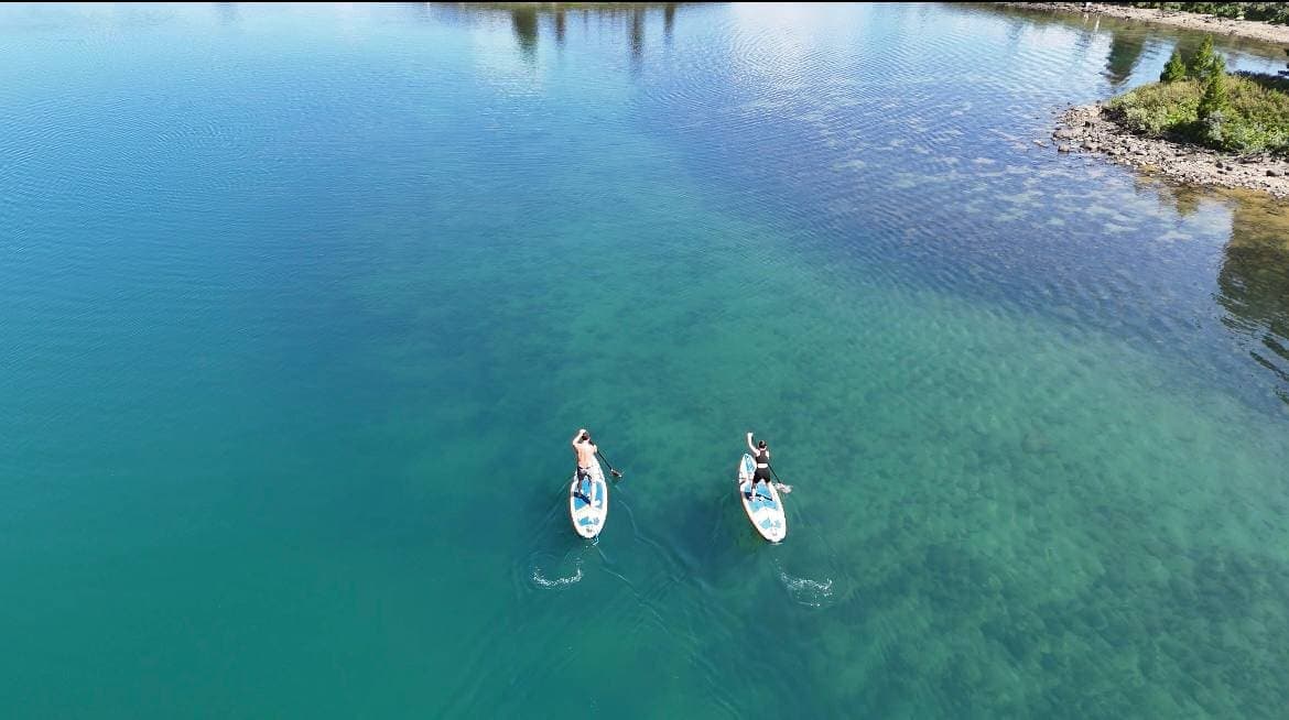 ДИКИЙ "ГЛАМУР" - фото 1