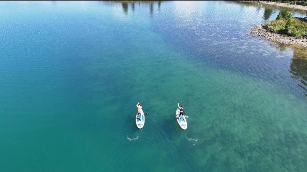 ДИКИЙ "ГЛАМУР" - фото 1