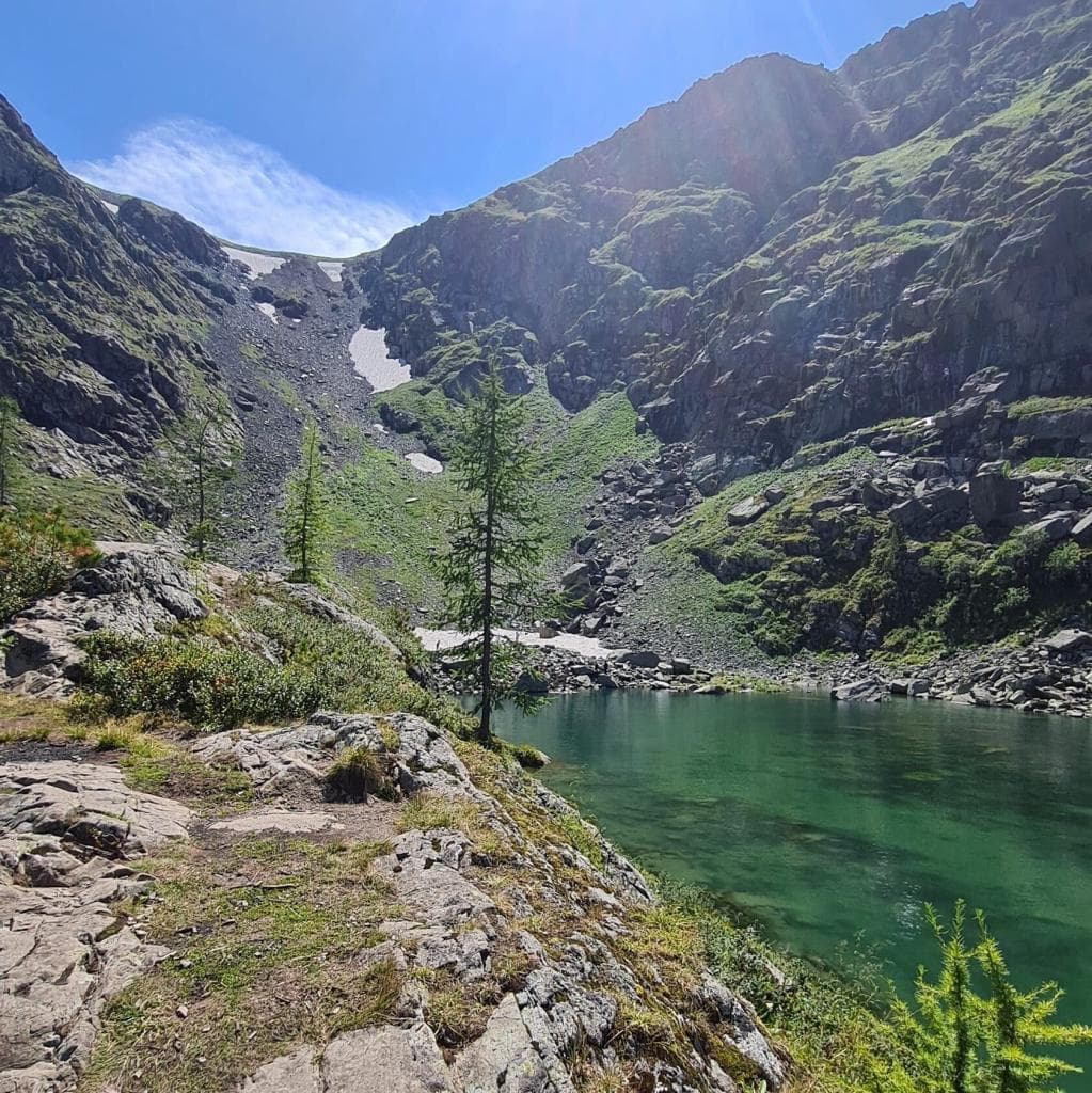 ДИКИЙ "ГЛАМУР" - фото 3
