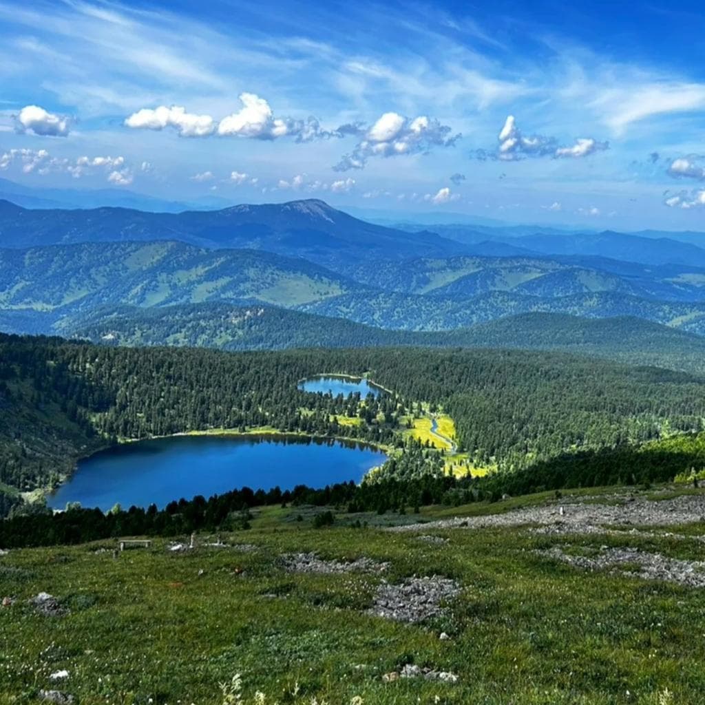 ДИКИЙ "ГЛАМУР" - фото 5