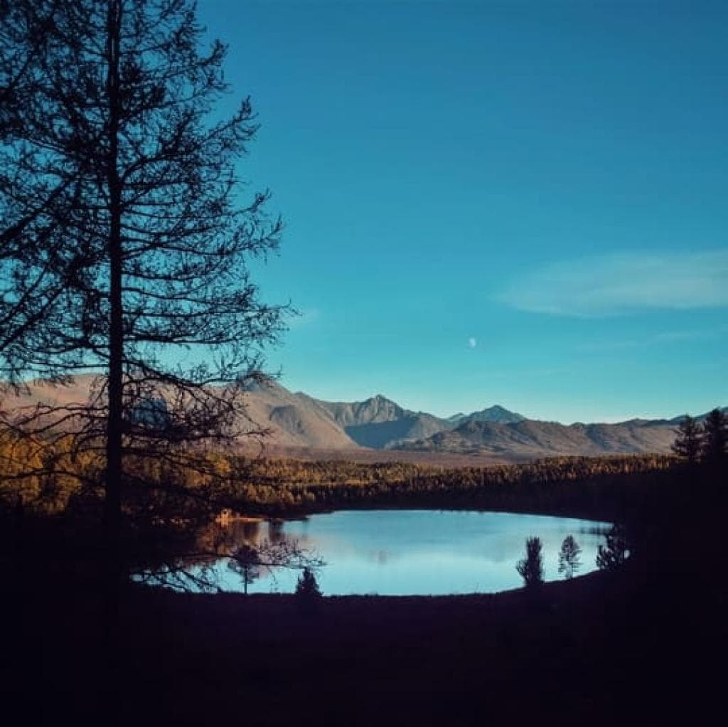 Дыхание Алтая - фото 3