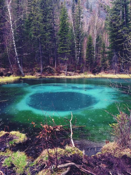 Алтайская кругосветка - фото 1