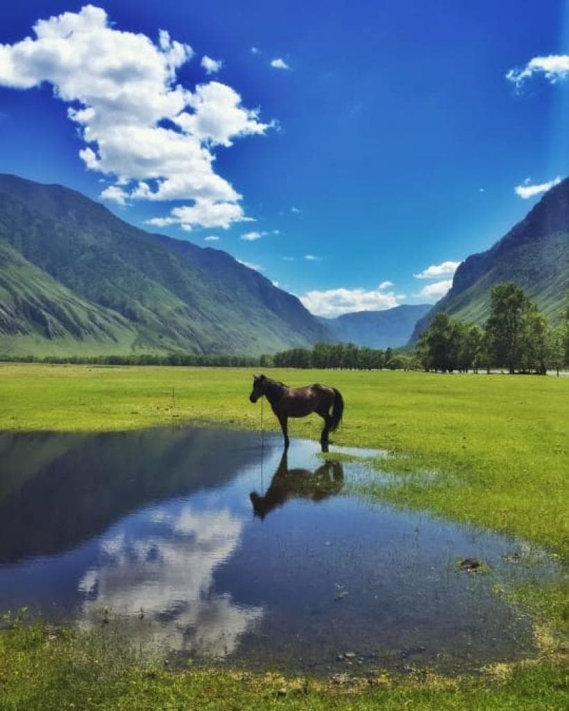 Алтайская кругосветка - фото 5