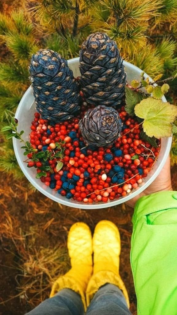 Алтайская кругосветка - фото 3