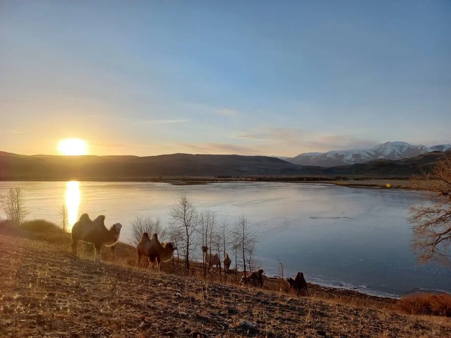 Обзорный тур "Знакомство с Алтаем. Открывая "Сибирскую Швейцарию" - фото 1