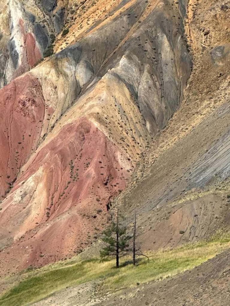 Обзорный тур "Знакомство с Алтаем. Открывая "Сибирскую Швейцарию" - фото 4