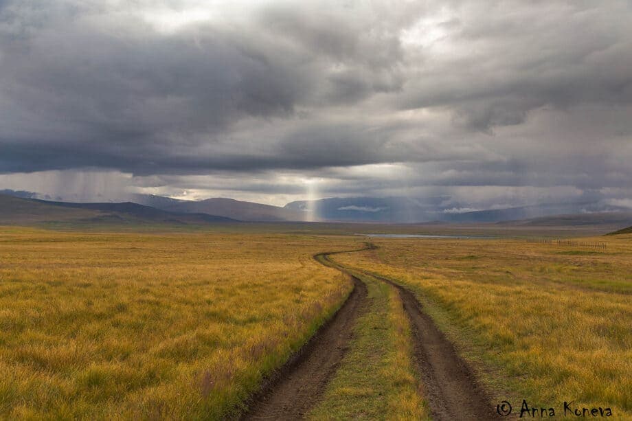 Тур на Плато Укок "Путь Белой шаманки. Полное погружение." - фото 1