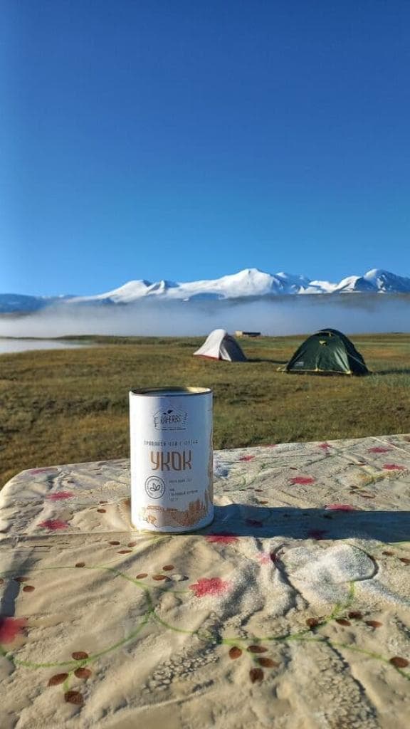 Тур на Плато Укок "Путь Белой шаманки. Полное погружение." - фото 2