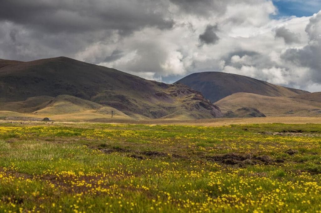 Тур на Плато Укок "Путь Белой шаманки. Полное погружение." - фото 3