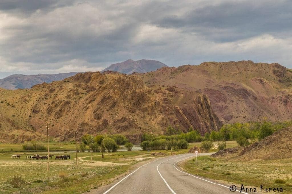 Тур на Плато Укок "Путь Белой шаманки. Полное погружение." - фото 5
