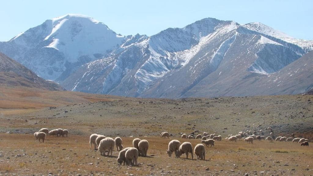 "Невероятные пейзажи Южного Алтая" - фото 2