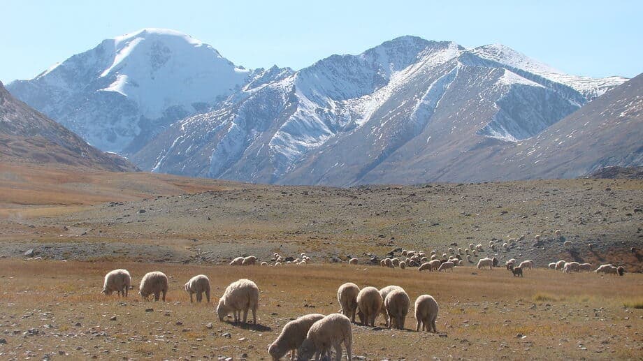 "Золотое кольцо" - фото 5