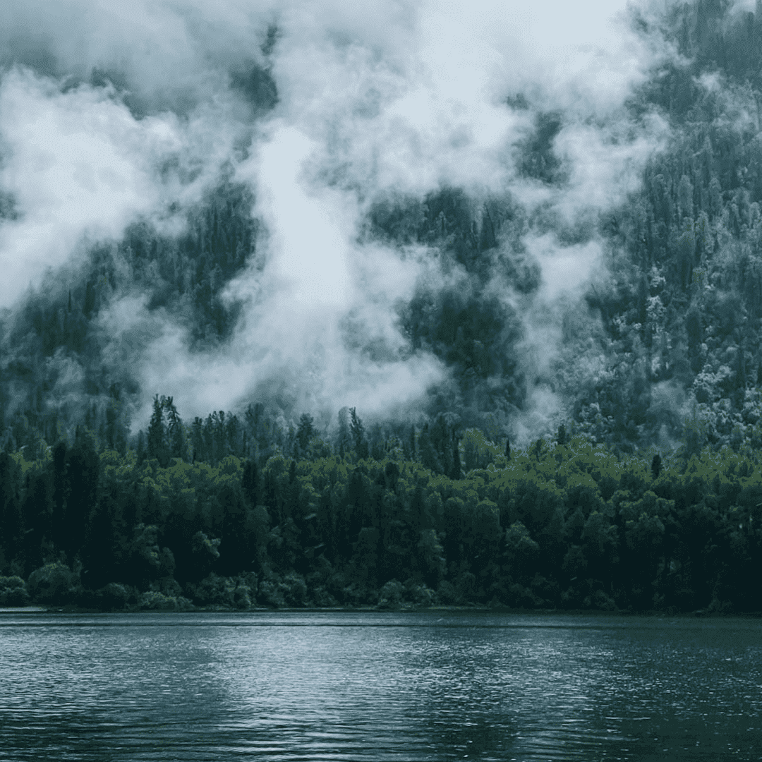 Ретрит. АЛТАЙ. НАЧАЛО - фото 1