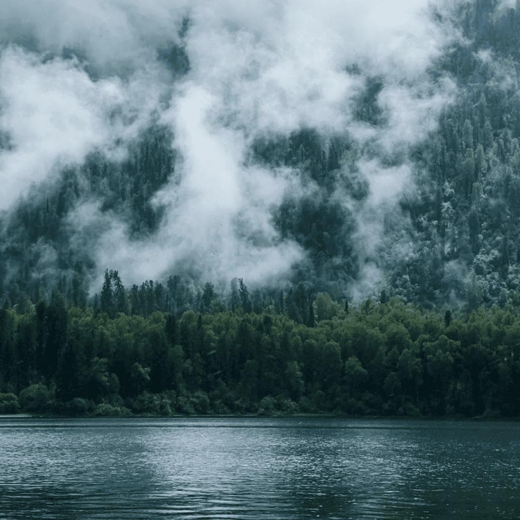 Ретрит. АЛТАЙ. НАЧАЛО - фото 1