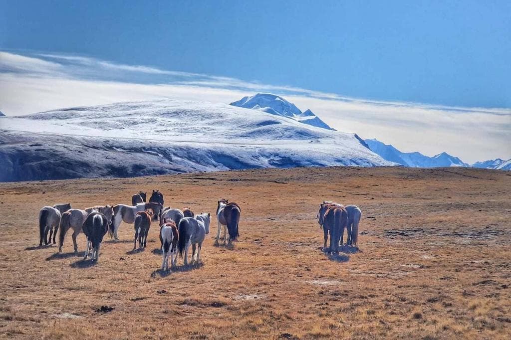Автомобильный тур «Алтай — уникальная дорога мира» - фото 7