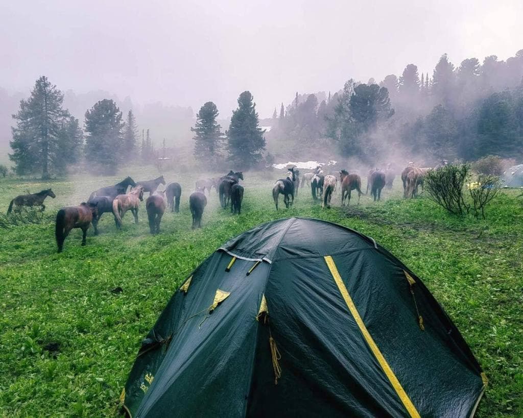 «Алтай: Духи пробуждаются» aвторский конный тур - фото 11