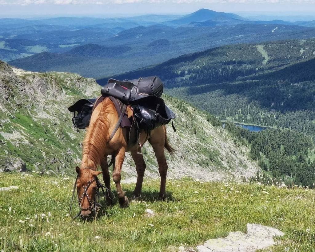 «Алтай: Духи пробуждаются» aвторский конный тур - фото 12