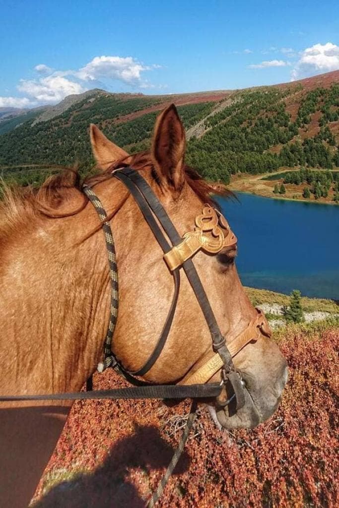 Конный тур «Алтай — страна Чудес» - фото 4