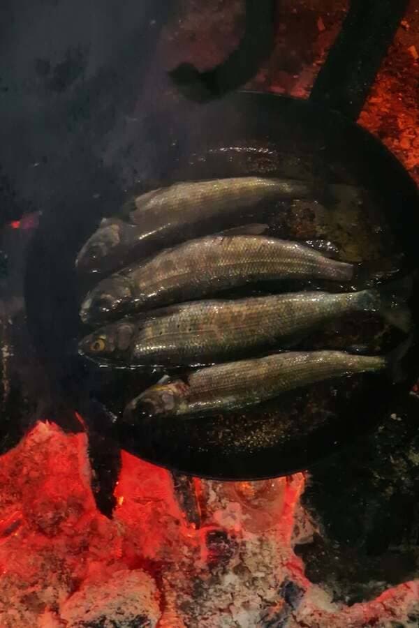 Конный тур «Алтай — страна Чудес» - фото 5