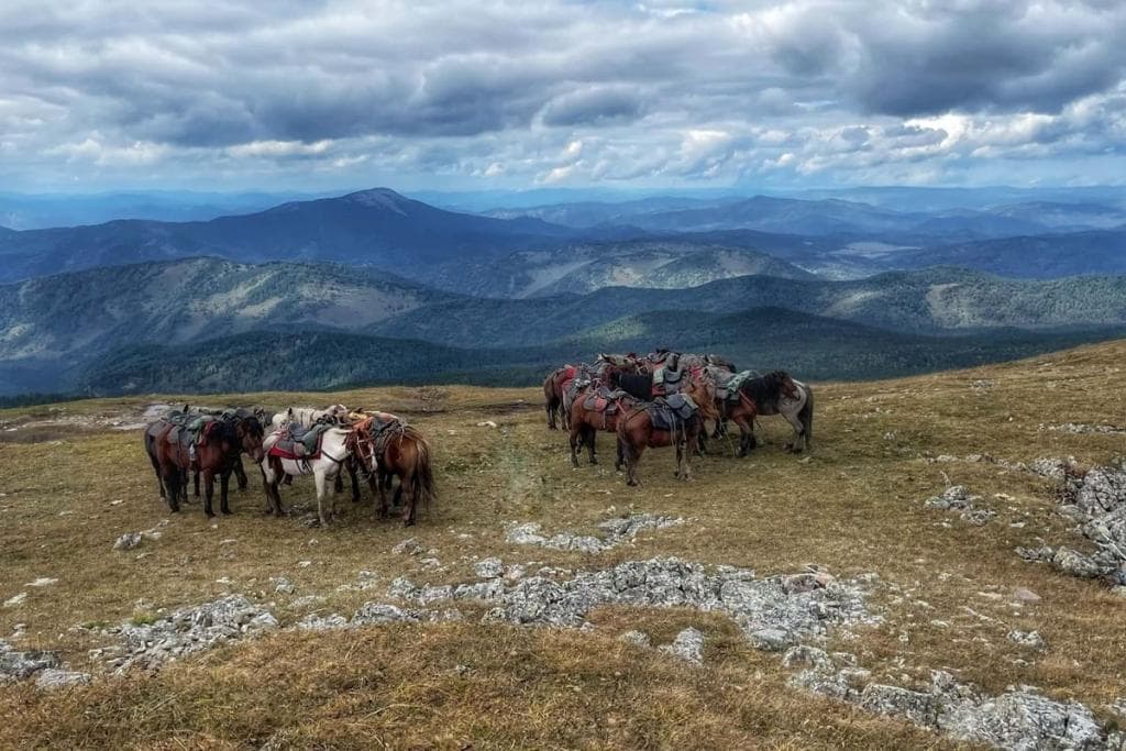 Конный тур «Алтай для новичков» или к Каракольским озерам налегке - фото 4