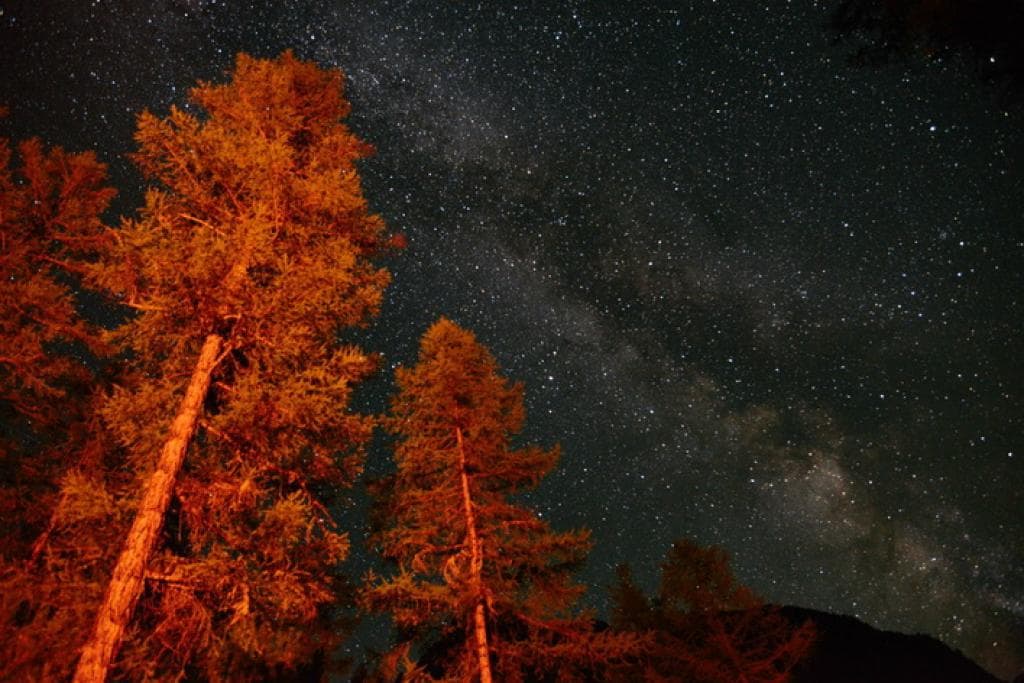 Конный тур «Шавлинские озера — на пути в Шамбалу» - фото 5