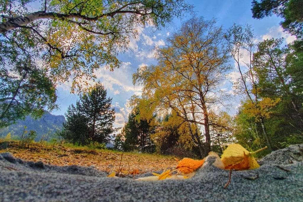 Конный тур для опытных всадников «Галопом по Алтаю» - фото 5