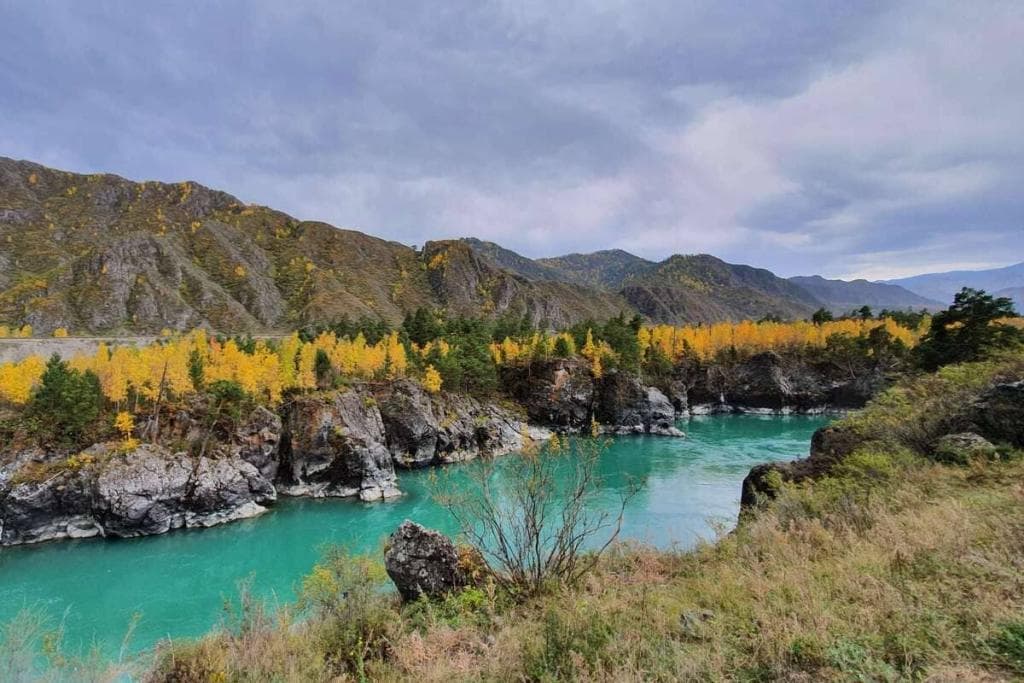 Конный тур для опытных всадников «Галопом по Алтаю» - фото 8