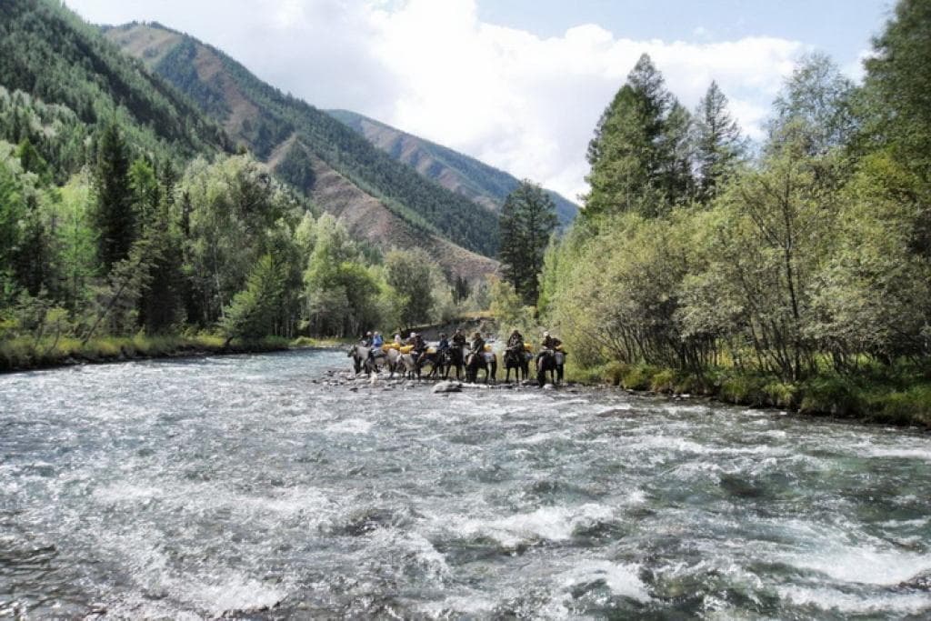 Конный тур по Алтаю «К Белухе потаённой тропой» - фото 5
