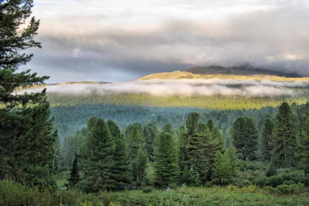 Конный тур по Алтаю «Каракольские озера — кольцевой» - фото 10