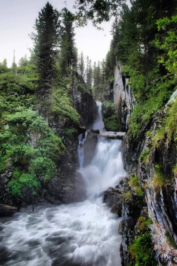 Конный тур по Алтаю «Уймень-озеро — сердце Алтая» - фото 11