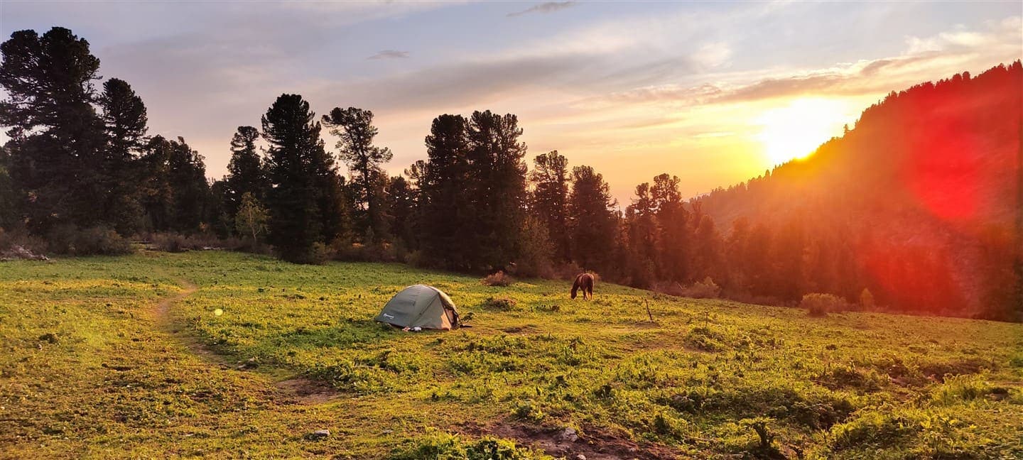 АЛТАЙСКАЯ КЛАССИКА - фото 1