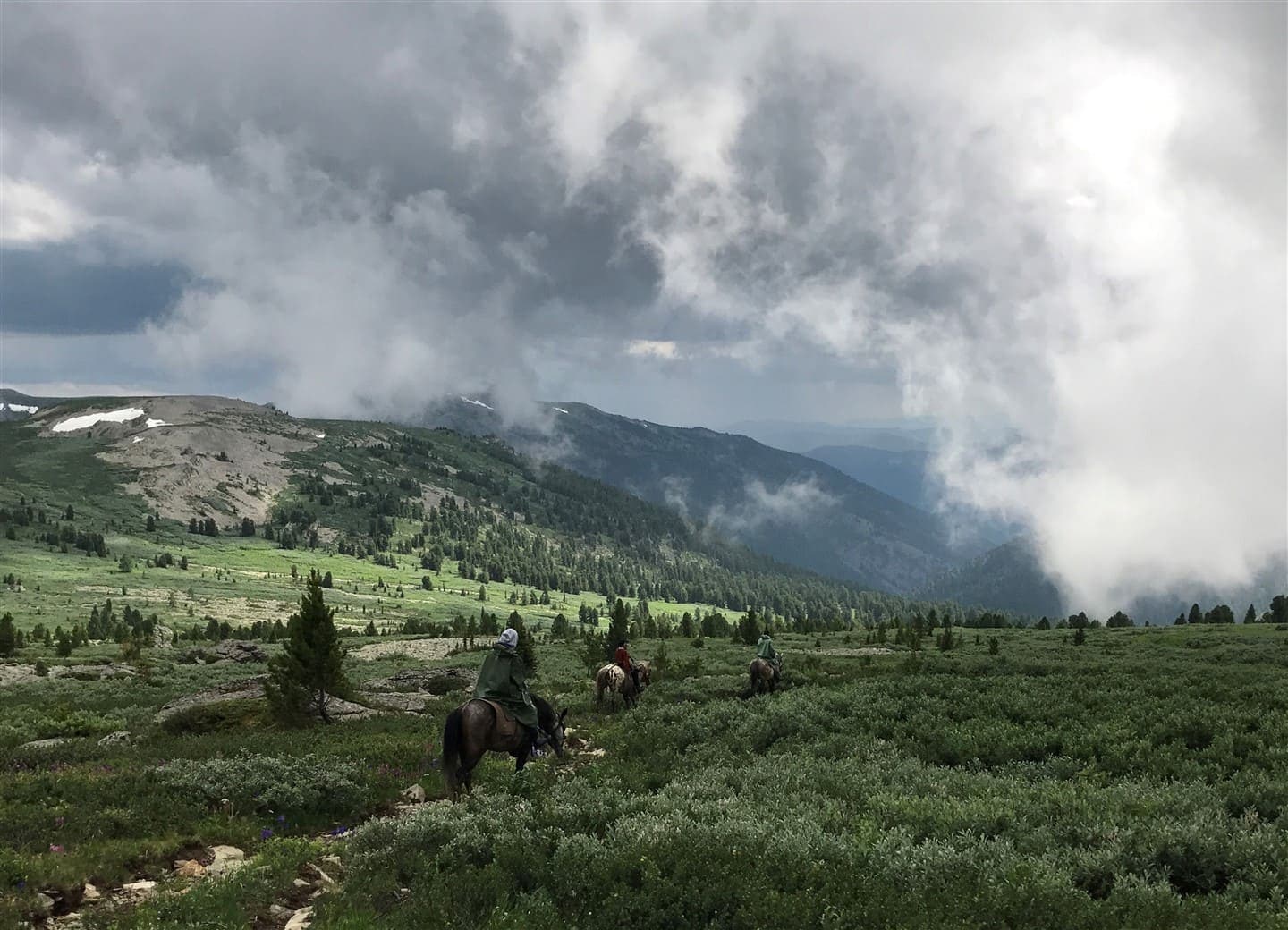 АЛТАЙСКАЯ КЛАССИКА - фото 4