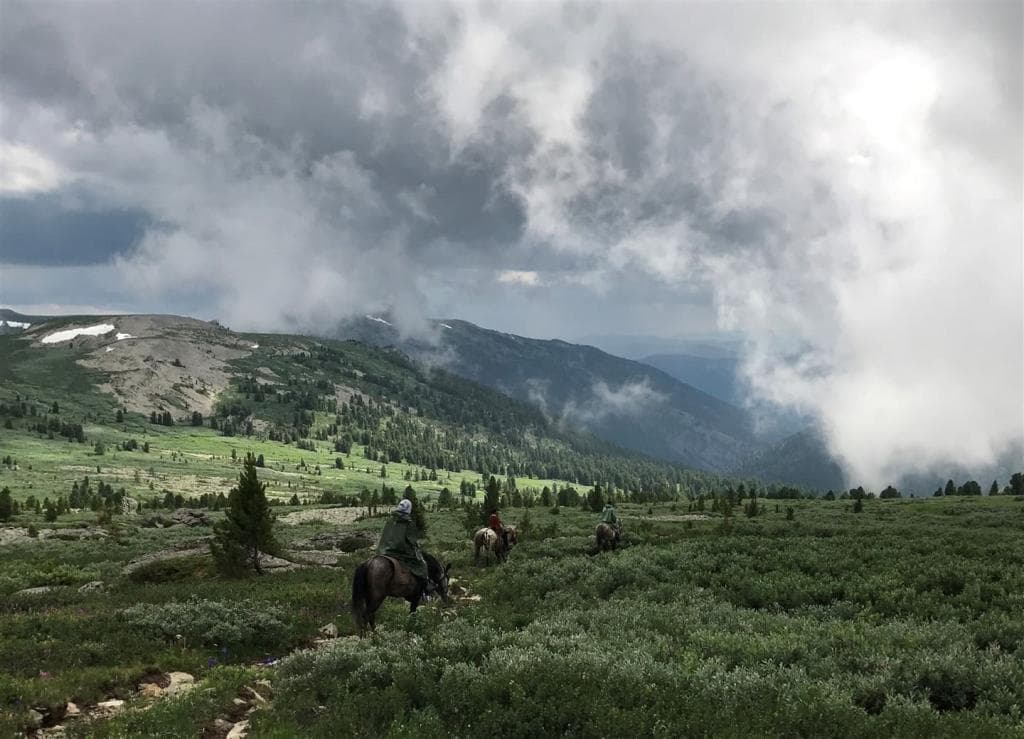 АЛТАЙСКАЯ КЛАССИКА - фото 4