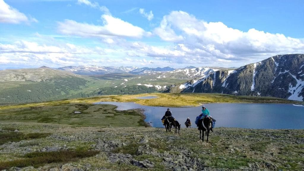 АЛТАЙСКАЯ КЛАССИКА - фото 6