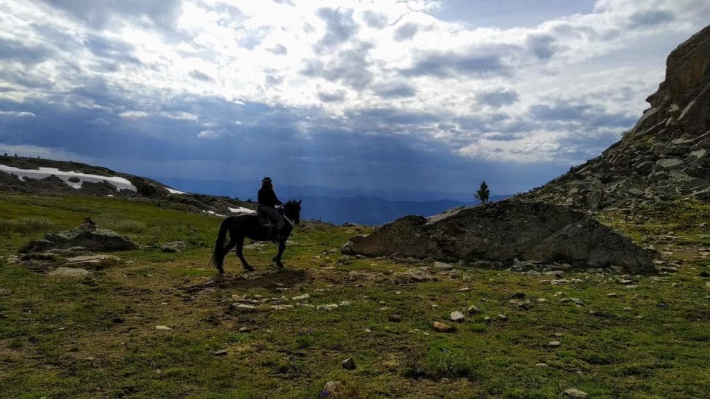 АЛТАЙСКАЯ КЛАССИКА - фото 11