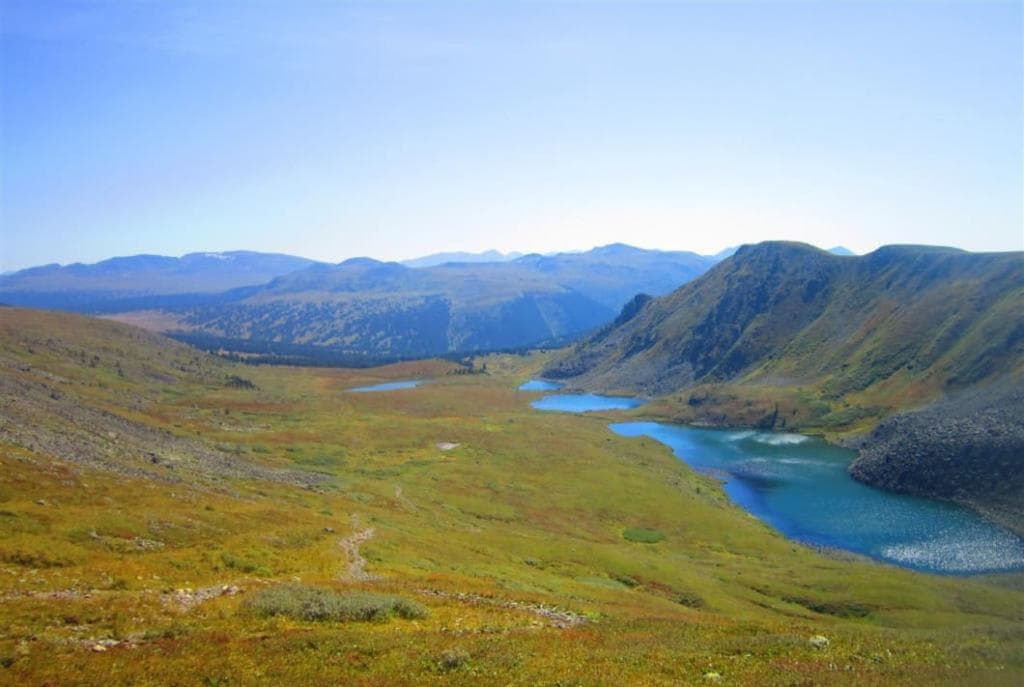 НА НЕДЕЛЮ НА АЛТАЙ! - фото 1